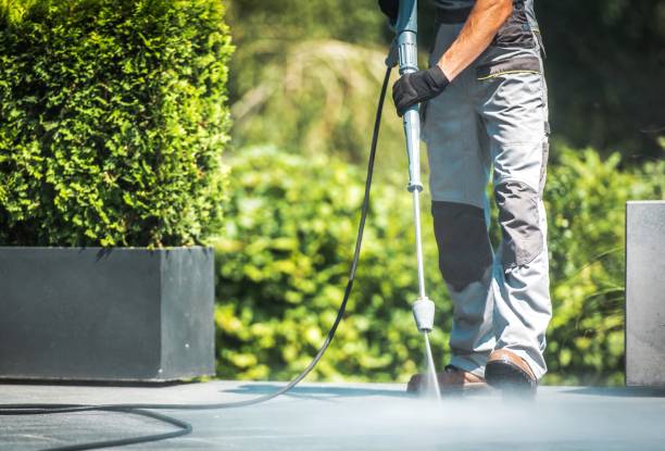 Best Solar Panel Cleaning  in Camden, TN