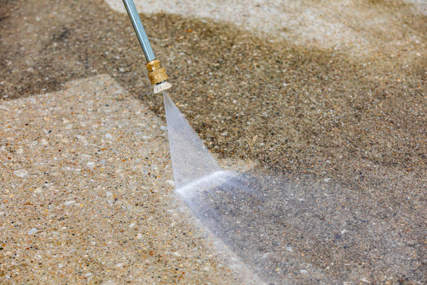 Best Patio and Deck Pressure Washing  in Camden, TN