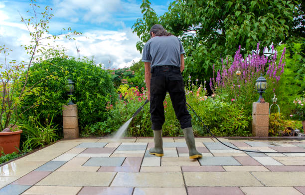 Best Fence Cleaning  in Camden, TN